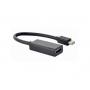 NEWMB Newmb Technology Co mini DisplayP to HDMI - slika 1