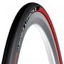 CAPRIOLO Michelin lithion 2 - slika 1