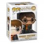 FUNKO Harry Potter POP! Vynil - Harry Potter /w Hedwig - slika 1