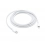 APPLE USB-C to Lightning Cable (2m) ( mqgh2zm/a ) - slika 1