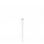 APPLE USB-C to Lightning Cable (2m) ( mqgh2zm/a ) - slika 2