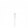 APPLE USB-C to Lightning Cable (2m) ( mqgh2zm/a ) - slika 3