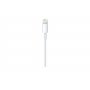 APPLE Lightning to USB Cable (0.5 m) ( me291zm/a ) - slika 2