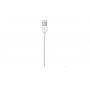 APPLE Lightning to USB Cable (0.5 m) ( me291zm/a ) - slika 3