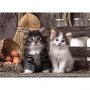 CLEMENTONI Puzzle 1000 delova Divne mace - slika 2