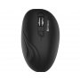 Sandberg Miš Wireless Sandberg 631-03 - slika 1