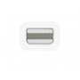 APPLE Thunderbolt to FireWire Adapter (md464zm/a) - slika 2