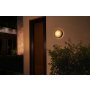 PHILIPS Daylo Outdoor zidno svetlo (18205) - slika 5
