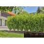 GARDENA Kap po kap sistem za navodnjavanje iznad i ispod zemlje 50 m GA 13504-20 - slika 3