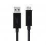 BELKIN 3.1 USB-A kabl za USB-C (F2CU029bt1M-BLK) - slika 1