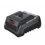 WOMAX Brzi punjač P20 GP-LG S20-2.4 71220204 - slika 1