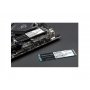 TEAM GROUP MP33 M.2 2280 PCle NVMe SSD, 1600/1000 MB/s (TM8FP6256G0C101) - slika 3