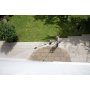 KARCHER TLA 4 teleskopska mlazna cev (110300849) - slika 2
