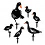 WALLXPERT Ducks - slika 1