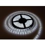 XLED LED traka 2835W-120, 6500K ,120 Led/m,IP20 , 9.6 W/m,10-12lm, 5 m kotur ( XLED-D-2835W-120 ) - slika 1