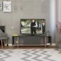 HANAH HOME TV polica Zitano Tv Stand Anthracite Light Mocha (776HMS3057) - slika 1