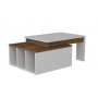 HANAH HOME Sto za dnevnu sobu Kolarado White Wanut - slika 1