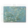 WALLXPERT Dekorativna slika 70100VANGOGH050 - slika 3