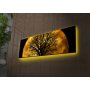 WALLXPERT Dekorativna slika 3090DACT 71 - slika 1