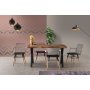 HANAH HOME Stolica Trend 270 V2 ( 2 kom ) - slika 3