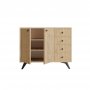 HANAH HOME Cipelarnik Waga Oak (811MDD4146) - slika 4