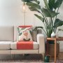 WALLXPERT Jastuk Lilly - slika 2