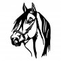 WALLXPERT Zidna dekoracija Horse Head - slika 2