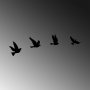 WALLXPERT Zidna dekoracija Pigeons 289 - slika 5