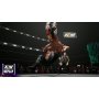 THQ Nordic PC AEW: Fight Forever - slika 4