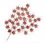 WALLXPERT Zidna dekoracija Acer Palmatum - slika 5