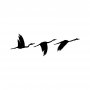 WALLXPERT Zidna dekoracija Migrant Birds 291 - slika 4