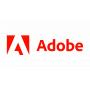 Adobe InDesign for teams - slika 1