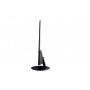 ZEUS Monitor 21.5 ZUS215IPS 1920x1080/Full HD IPS/75Hz/5ms/HDMI/VGA/Frameless - slika 2