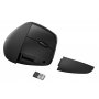 HP ACC 925 Ergo WRLS Mouse ( 6H1A5AA ) - slika 1
