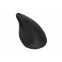 HP ACC 925 Ergo WRLS Mouse ( 6H1A5AA ) - slika 3