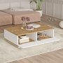 HANAH HOME Sto za dnevnu sobu FR14 AW - slika 5
