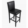 AVATAR Barska stolica DAISY - BH21SZ - slika 1