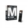 BIOSTAR SSD M.2 NVMe 256GB M720 3350MBs/1300MBs - slika 1