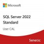 MICROSOFT SQL Server 2022 - 1 User CAL (DG7GMGF0MF3T-0002-CO) - slika 1