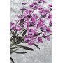 Conceptum Hypnose Tepih Lavender Oval DJT ( 60 x90) - slika 2