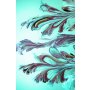 Conceptum Hypnose Tepih WOOKECE235 ( 50 x 80 ) - slika 2