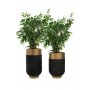 HANAH HOME 1011 1 - slika 2