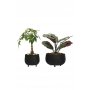 HANAH HOME 1026 3 - slika 3