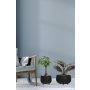 HANAH HOME 1026 3 - slika 1