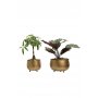 HANAH HOME 1027 3 - slika 2