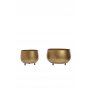 HANAH HOME 1027 3 - slika 3