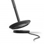 PHILIPS Stona lampa HUE GO crna 929003128501 (18866) - slika 4