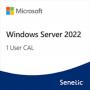 MICROSOFT Windows Server 2022 - 1 User CAL (DG7GMGF0D5VX-0007-CO) - slika 1