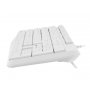 NATEC NAUTILUS, Slim Multimedia tastatura, US raspored, USB, bela (NKL-1951) - slika 3