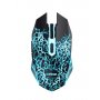 TRUST (24750) Basics RGB bežični gejmerski miš crni - slika 1